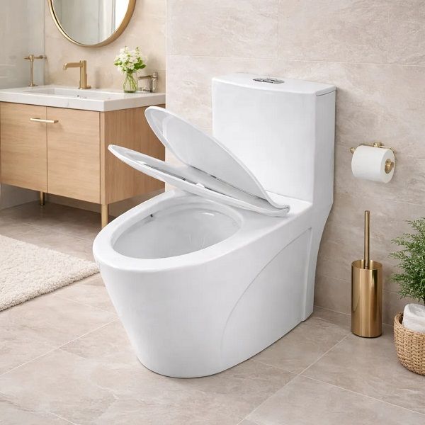 Vaso Sanitário Monobloco Caixa Acoplada Privada Paris Branco Stillus Home